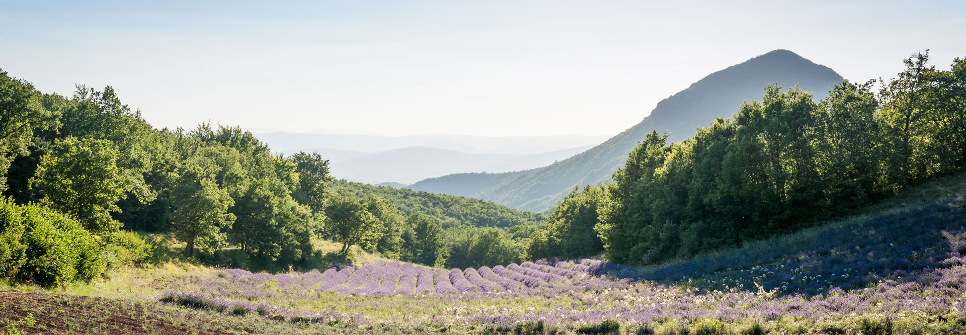 séjour en maison d'hôtes drome provencale